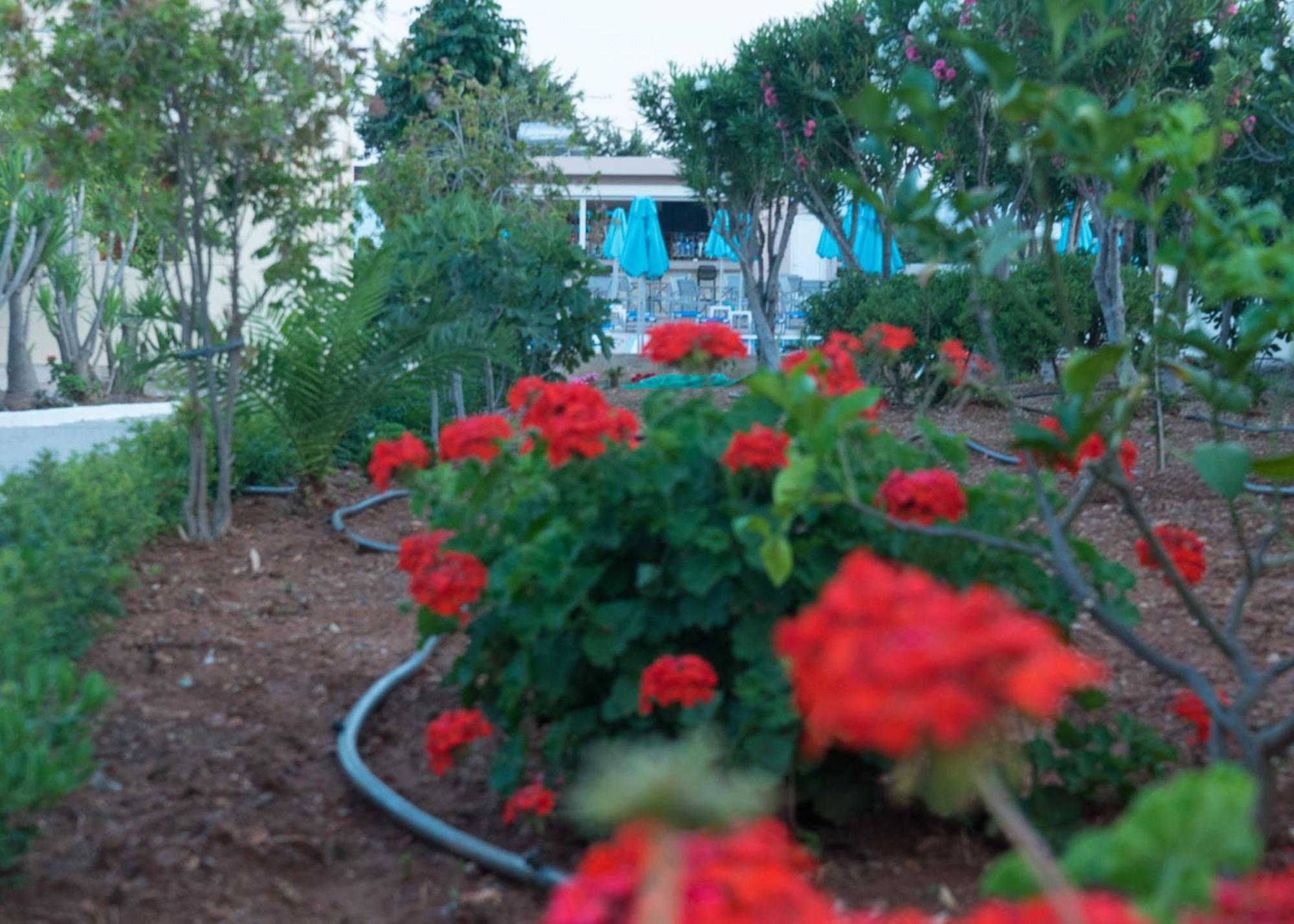 Amaryllis Front Beach Hotel Lardos Exterior foto